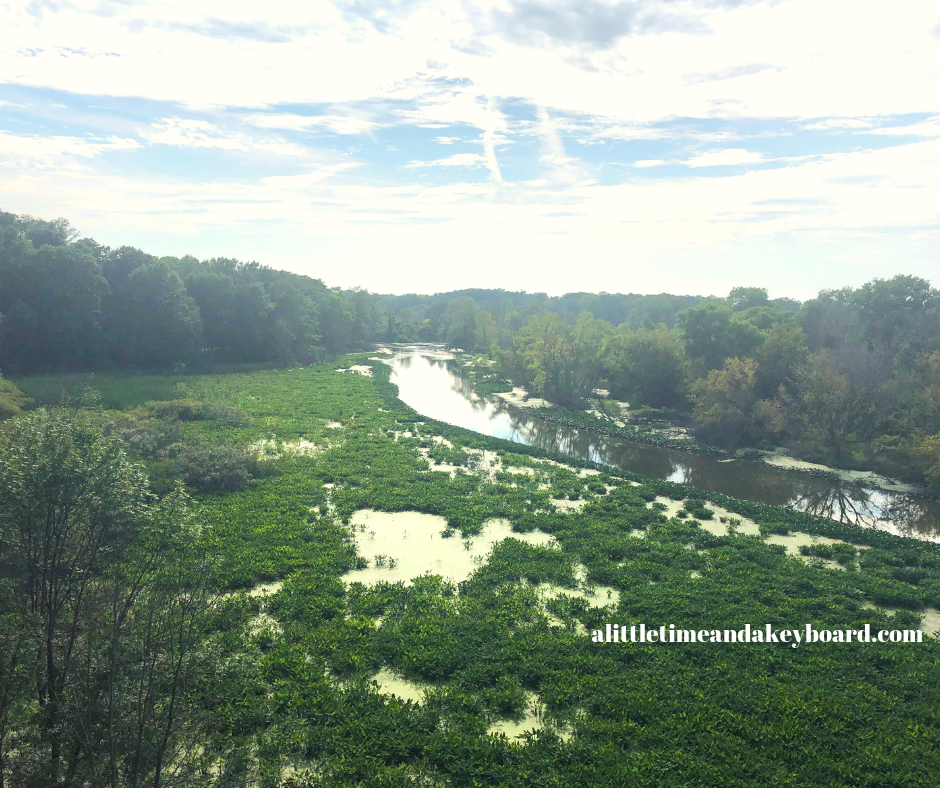 A Little Time and a Keyboard Walking Among the Trees at Galien River