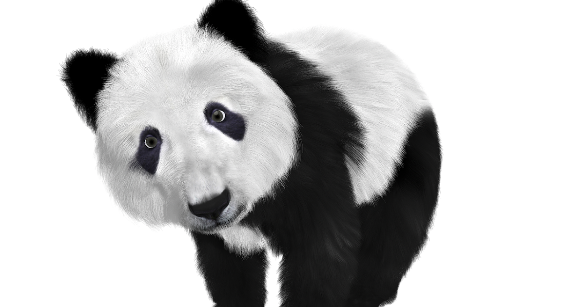 Contoh Descriptive Text Tentang Hewan Panda Beserta Artinya