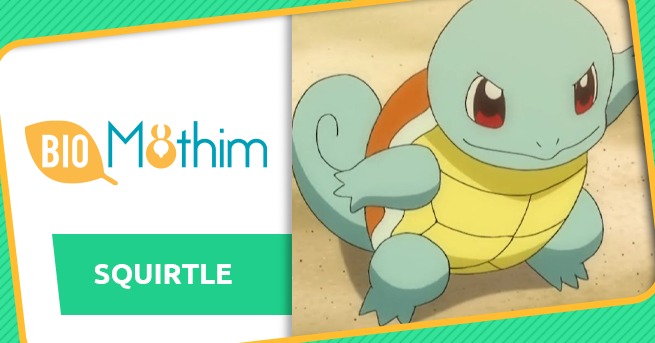 Pokémon GO: as Mega Evoluções estão chegando! - Pokémothim