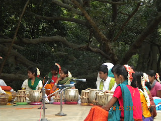 banyan tree behind the tabla recital