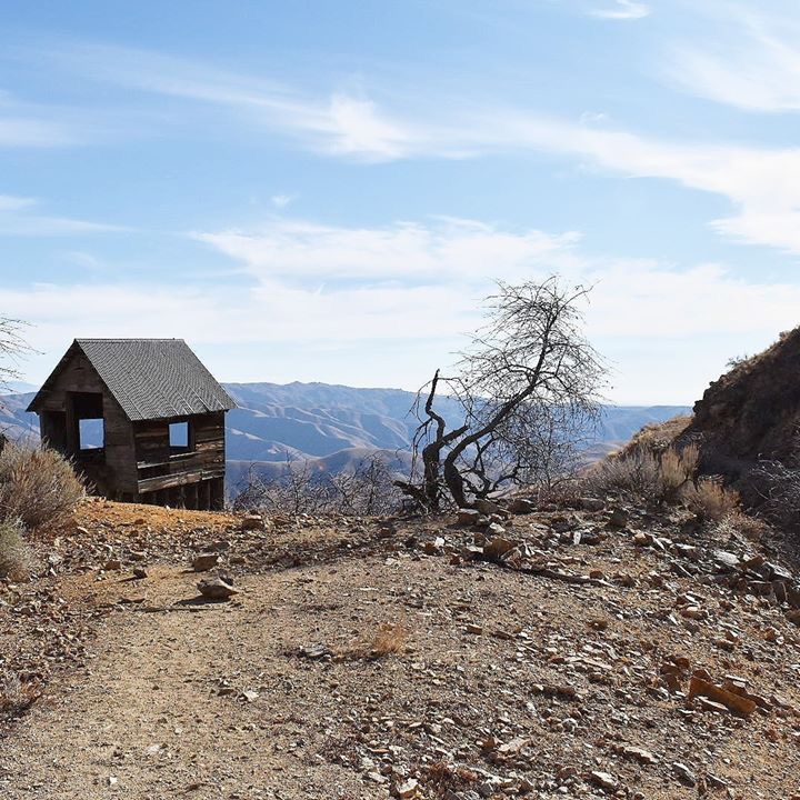 The Dayley Exposure 2.0