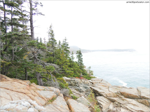 Otter Point en el Parque Nacional Acadia, Maine Otter Point en el Parque Nacional Acadia, Maine
