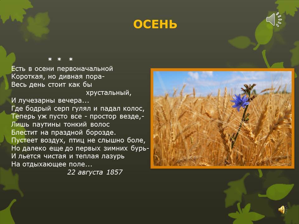 где бодрый серп гулял и падал колос. где бодрый серп гулял. где бодрый гулял и падал. стих есть в осени первоначальной. где бодрый серп гулял и падал колос теперь уж пусто все простор везде.