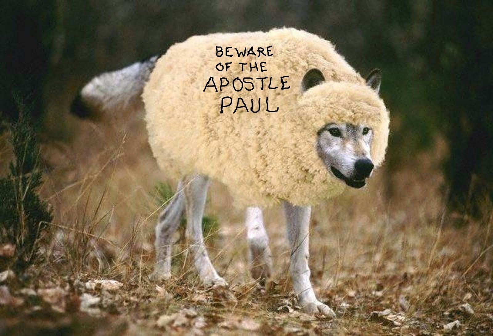 BEWARE OF THE APOSTLE PAUL