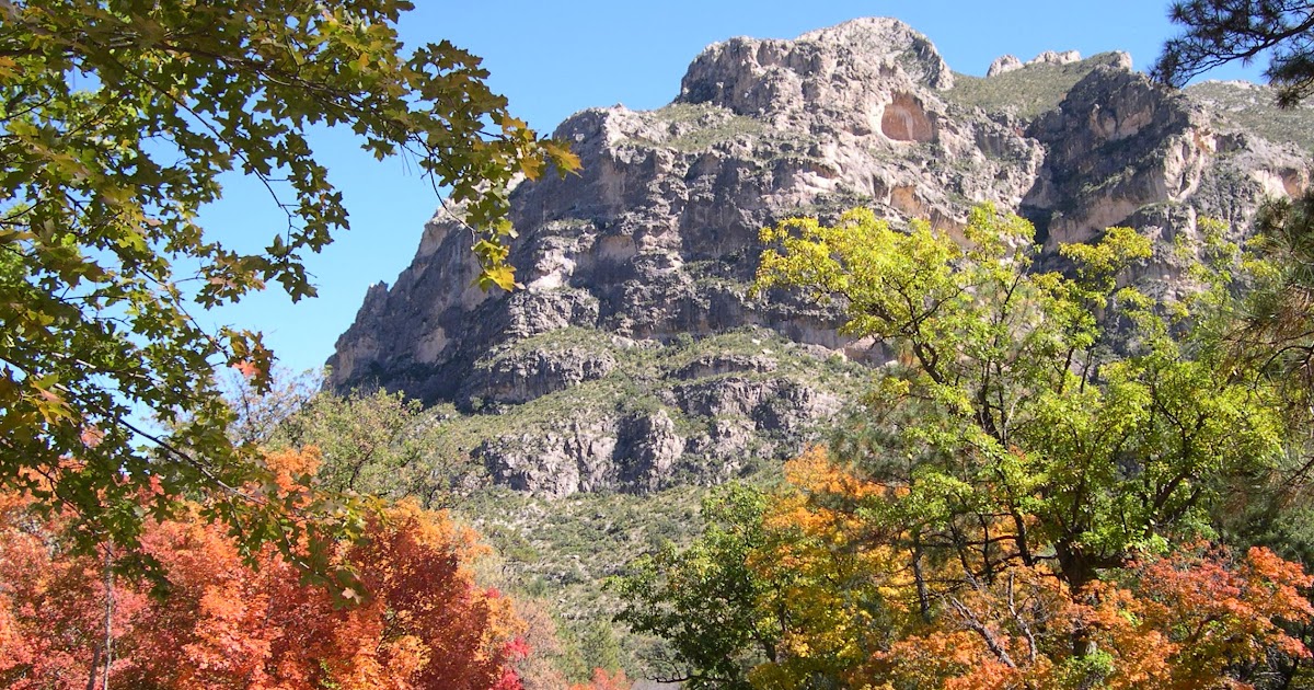 The Woodlands Texas Flooding >> Texas Mountain Trail Daily Photo: Fall Color in Guadalupe ... The Woodlands Texas Flooding >> Texas Mountain Trail Daily Photo: Fall Color in Guadalupe ...