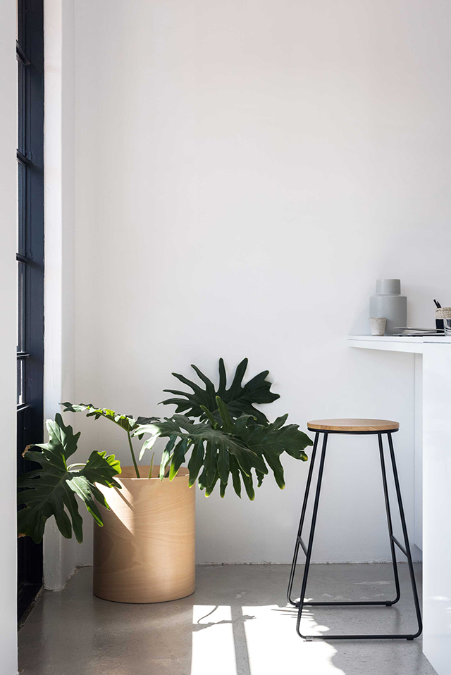 The New Flor Planter by Plyroom
