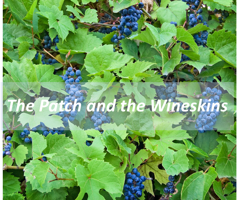 Parable Of The Patch And Wine Skins Bible