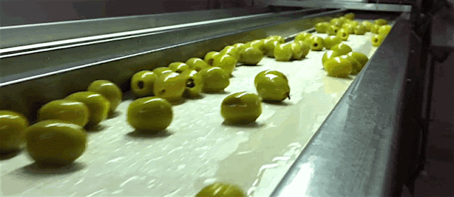 Resultado de imagen para gif animado de lanzamiento de huesos de aceitunas