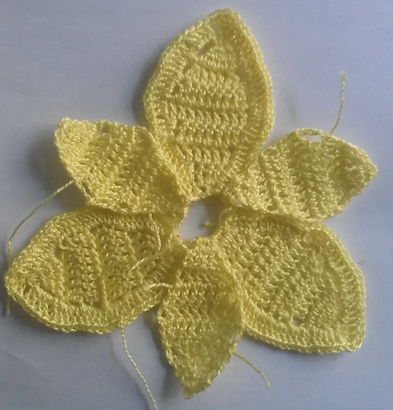 Crochet and Knitting Daffodil