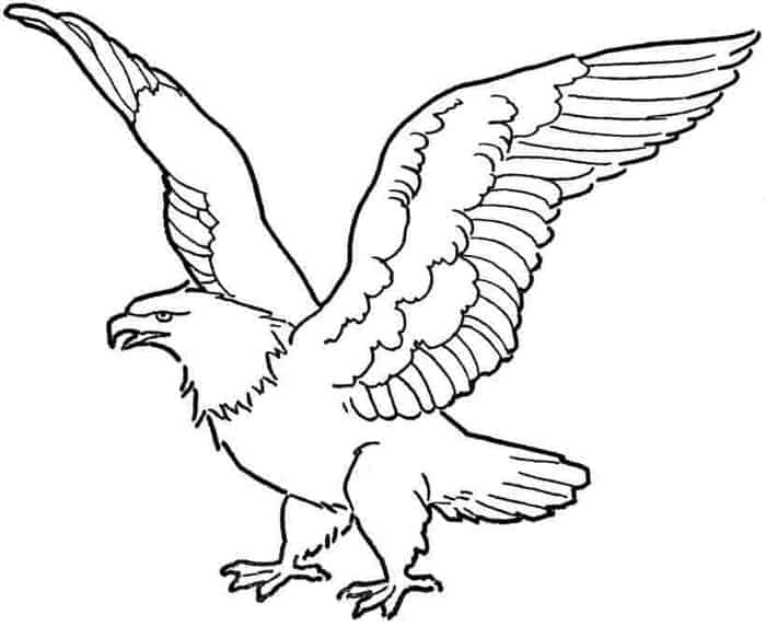 Printable Eagle Coloring Pages Yuk Sebar