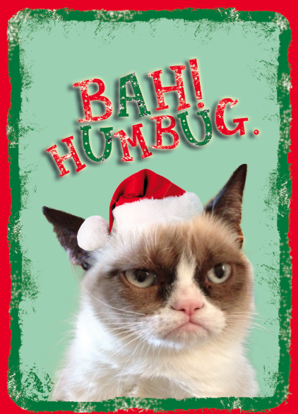 Grumpy Cat Christmas | Funny Collection World