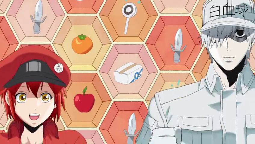 Rina Rei S Hataraku Saibou Rina Rei S Hataraku Saibou