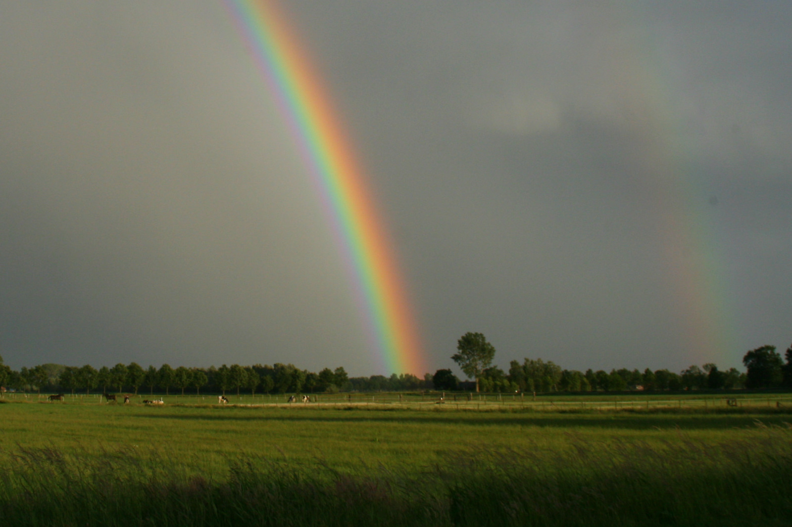 Carpe diem Alle kleuren van de regenboog