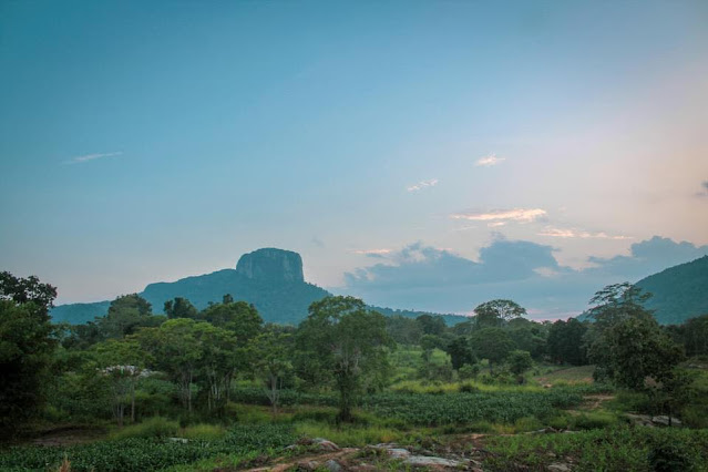 සියඹලාණ්ඩුවේ හරිත යාය දකිමුද 🍃🎋🌱 ☘️🧗🏾‍♂️🏔 (Siyabalanduwa) - Your Choice Way