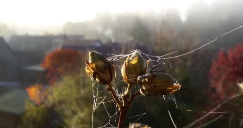 Nunu S Garn Und Stofflabor Septembermorgen
