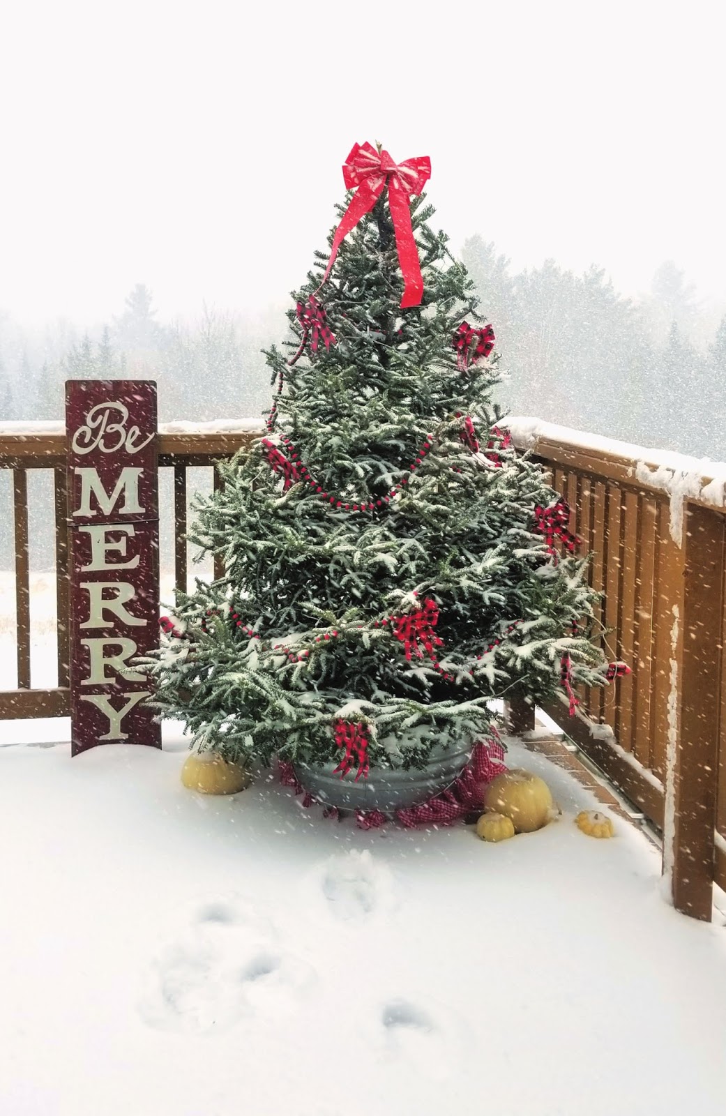 How to Decorate an Outdoor Christmas Tree - Fresh Eggs Daily® with Lisa