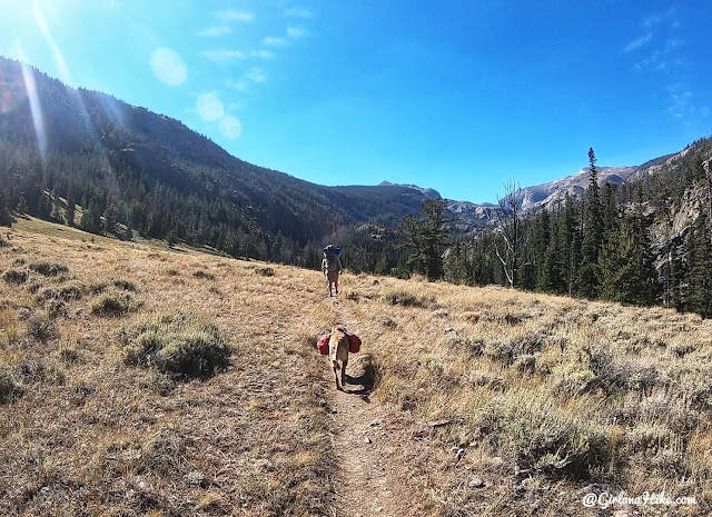 Backpacking to the Dinwoody Lakes, Wind Rivers, Backpacking the Glacier Trail Wind Rivers