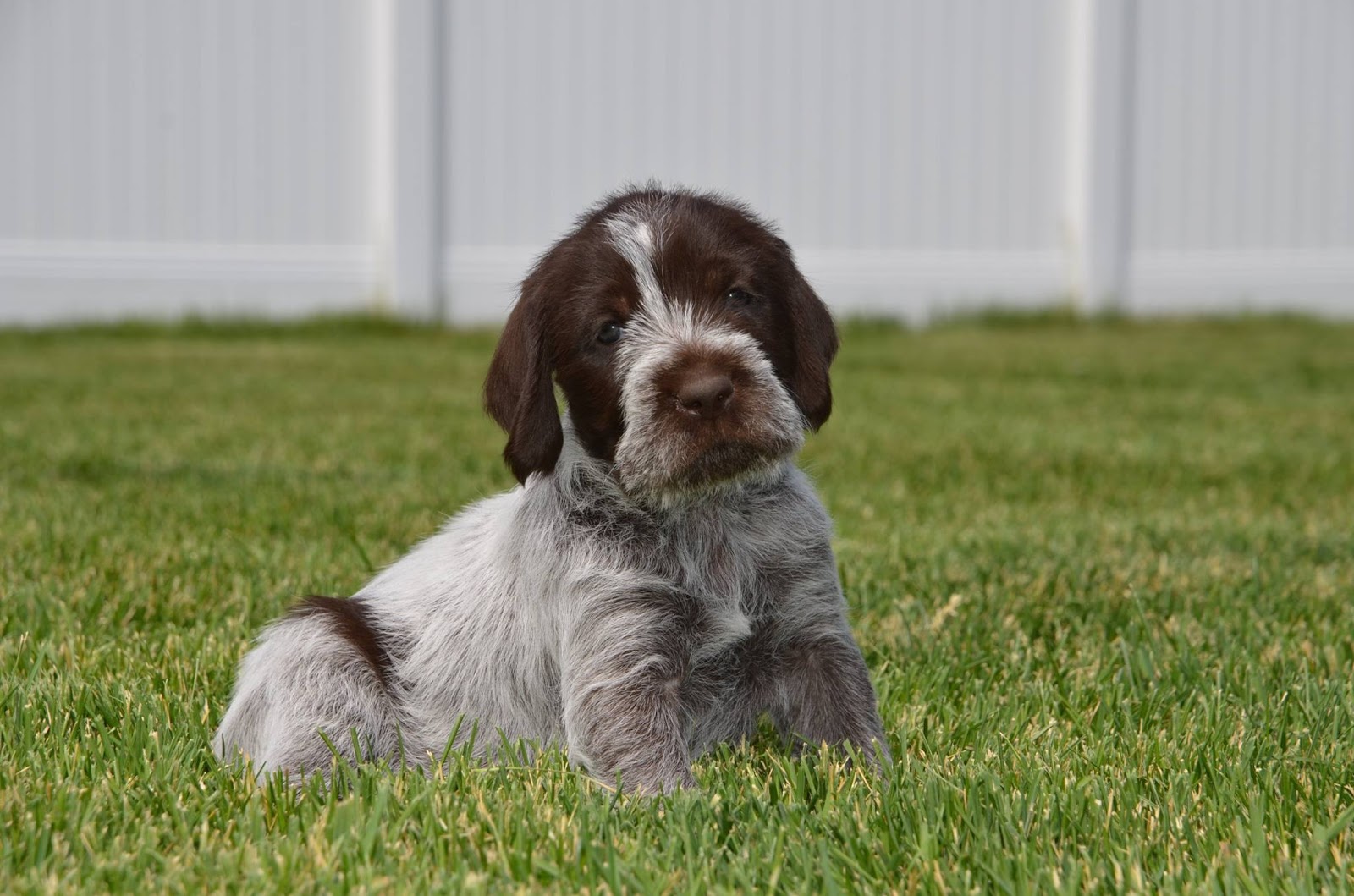 Broken Bow Kennels Another Week Down!