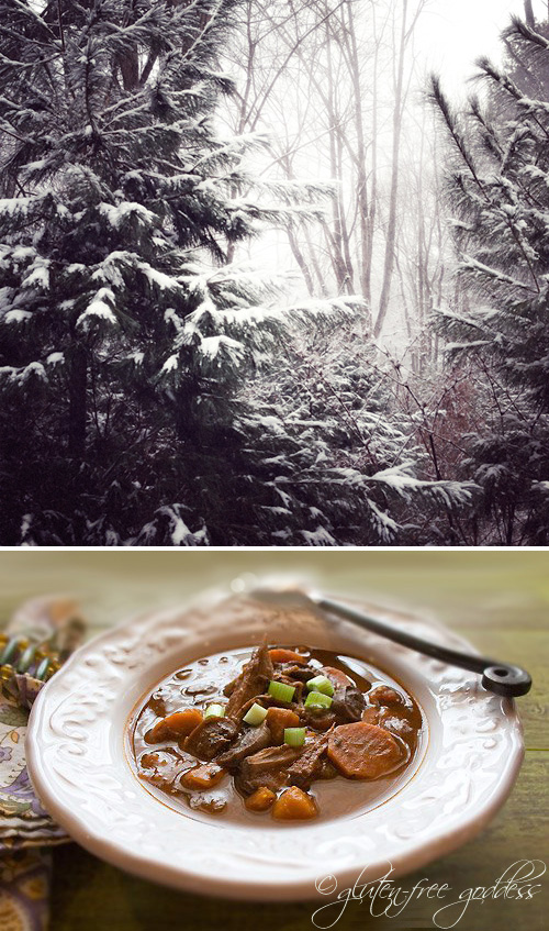 Karina's Cranberry Pot Roast Stew