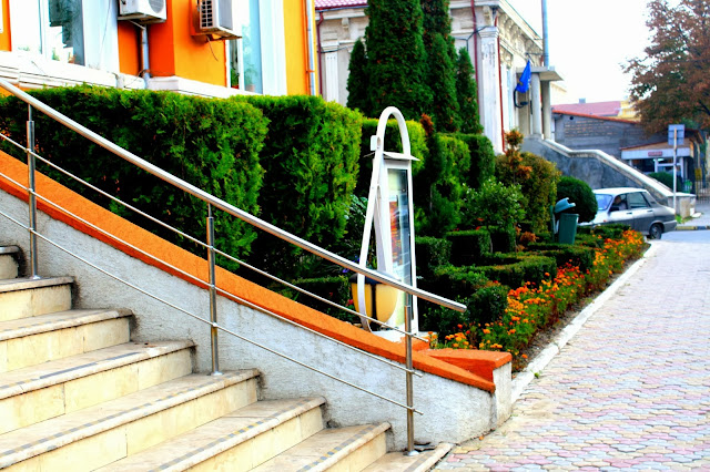 Flowers bed in front of the Medgidia Council