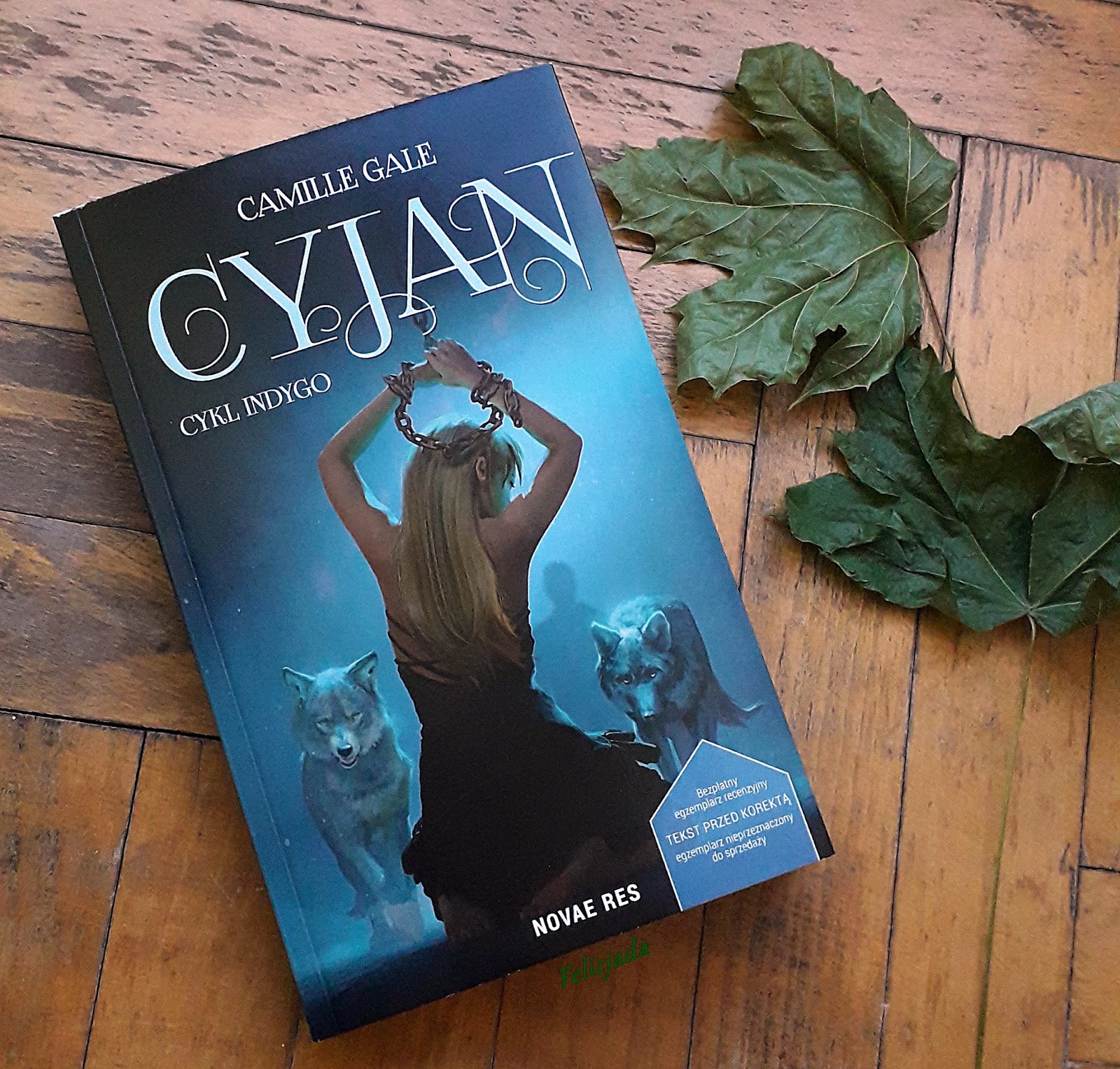 Recenzja patronacka "Cyjan" Camille Gale Felicjada