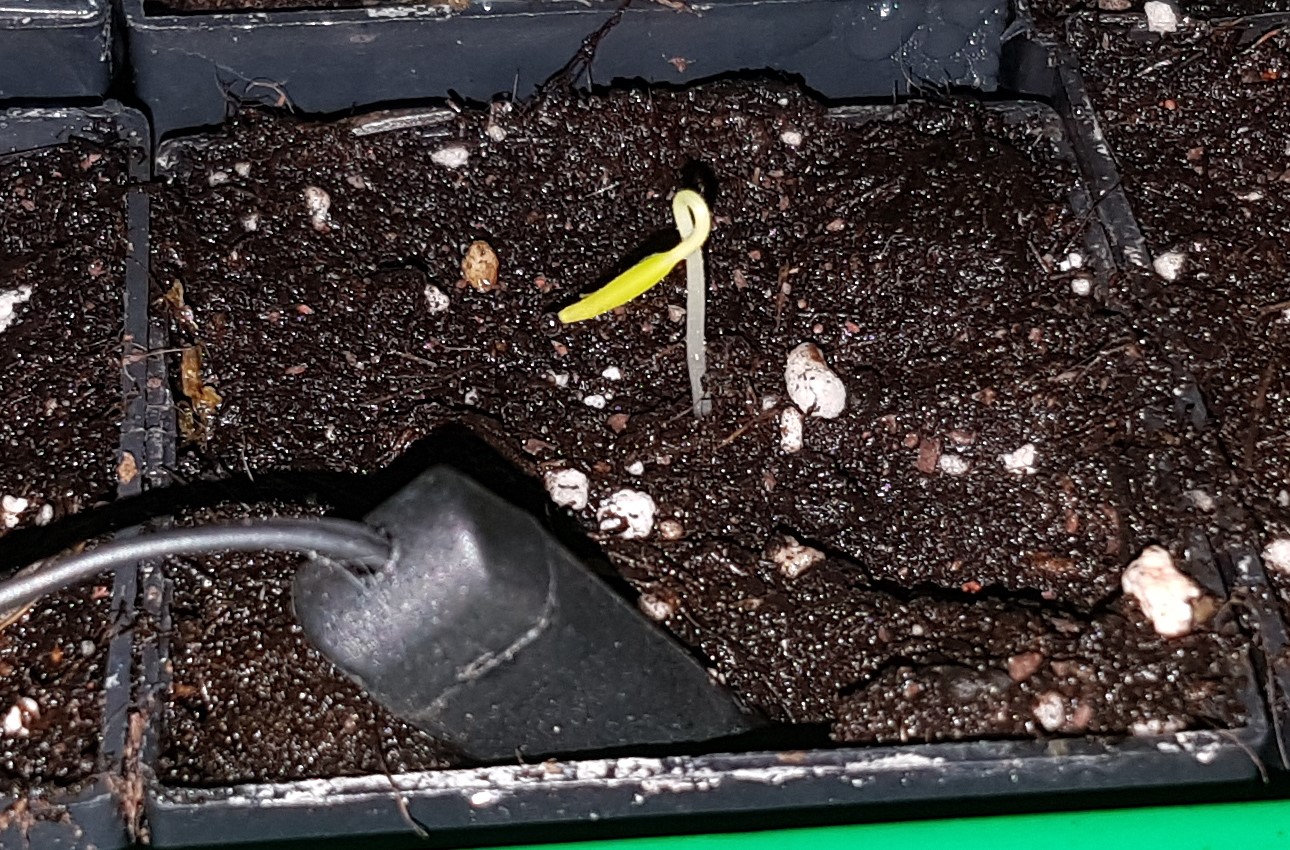 Andy Goes Around The World Mexiko Merida Und Die Yucatan Halbinsel