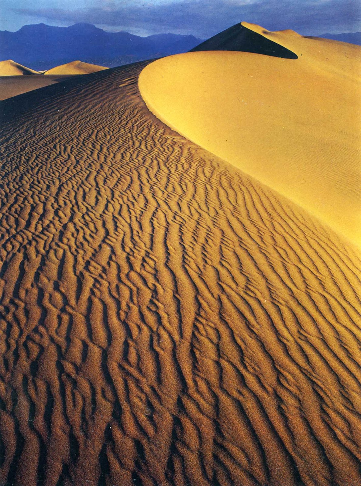 Самая большая пустыня на планете земля. Дэвид Мюнх. Пустыни. Фото пустыни.
