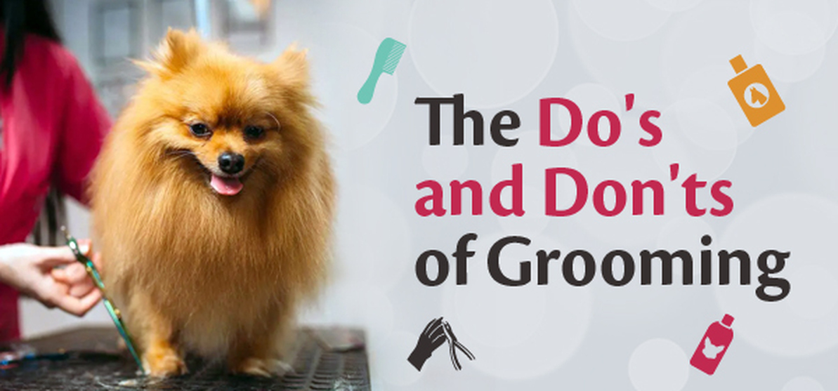 Grooming Hacks The Do's and The Don'ts