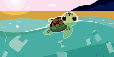 videoquizhero save the turtle quiz answers 100% score