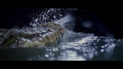 The Great Alligator 1979 Movie Image 6
