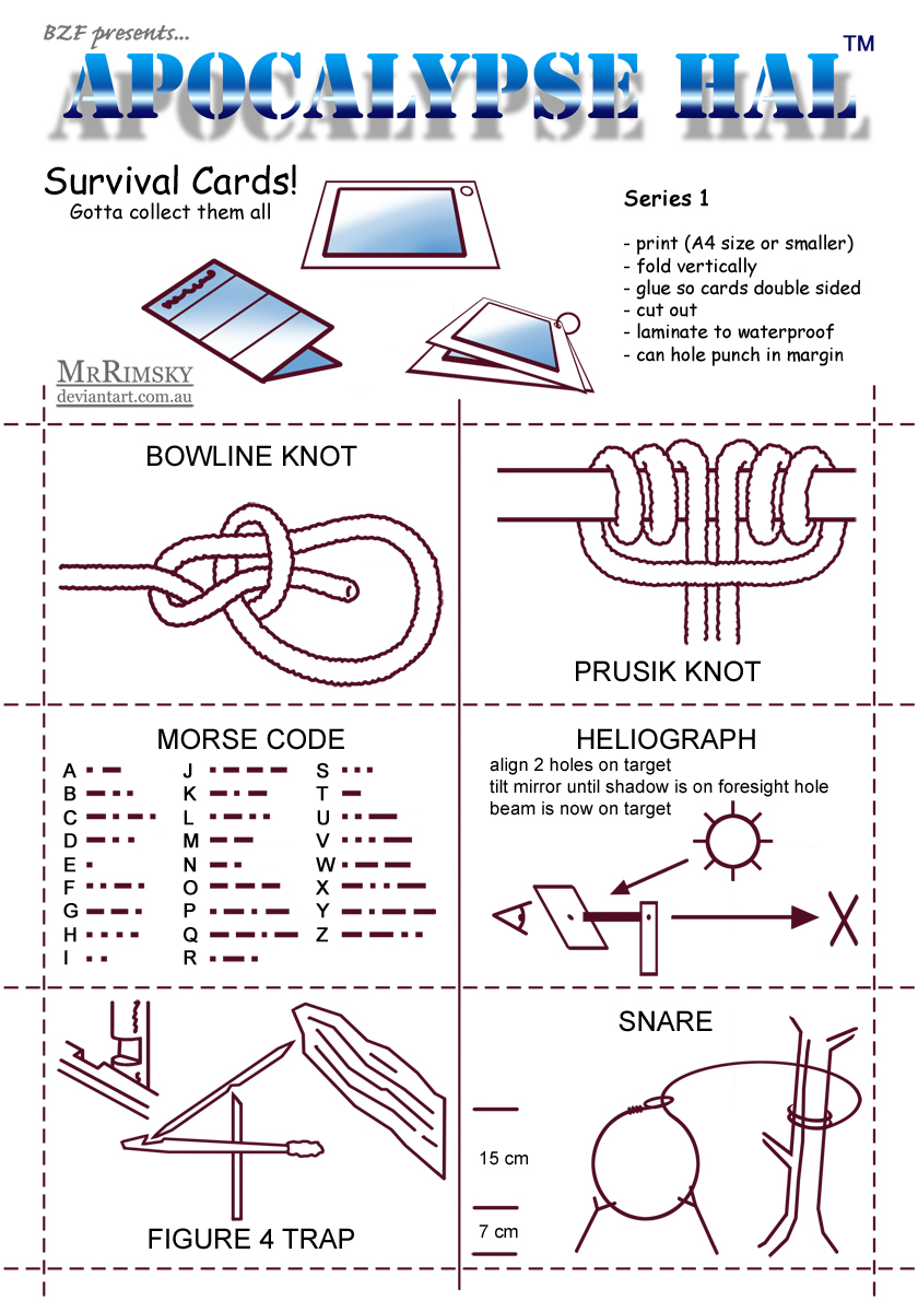 For the love of bunnies, zombies and frocks! Apocalypse Hal Survival