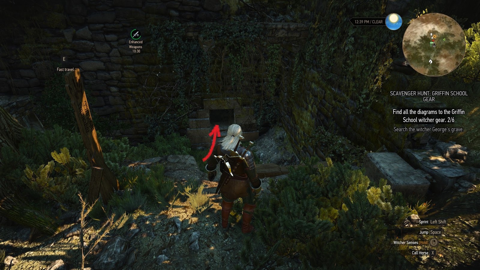 The witcher 3 griffin school hunt фото 6