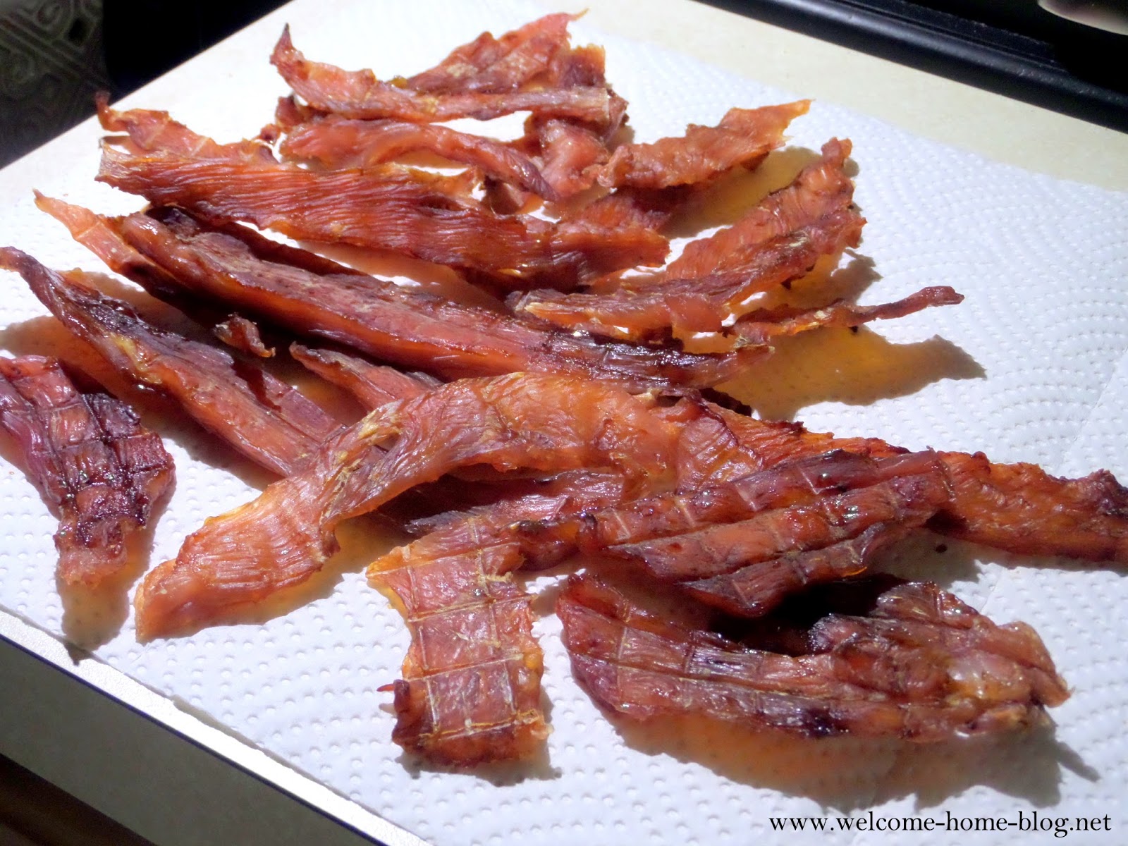 Home Blog Homemade Turkey Jerky Treats For Dogs