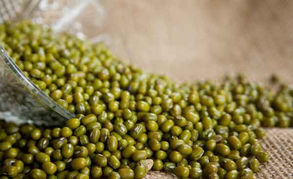 manfaat kacang hijau bagi kesehatan