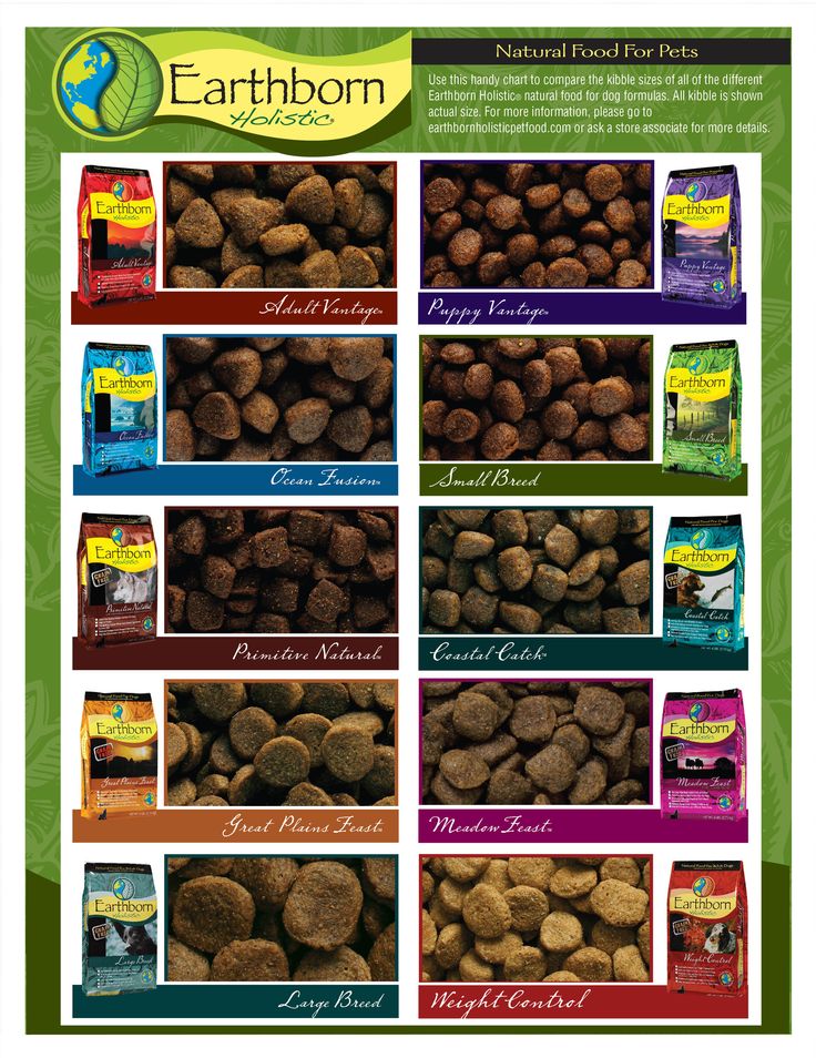 Earthborn Holistic Grain Free Dog Food Review Homeschool And Light Tables earthborn-holistic-grain-free-dog-food-review-homeschool-and-light-tables