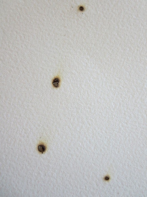 Paper Ponderings: Still thinking of burning...