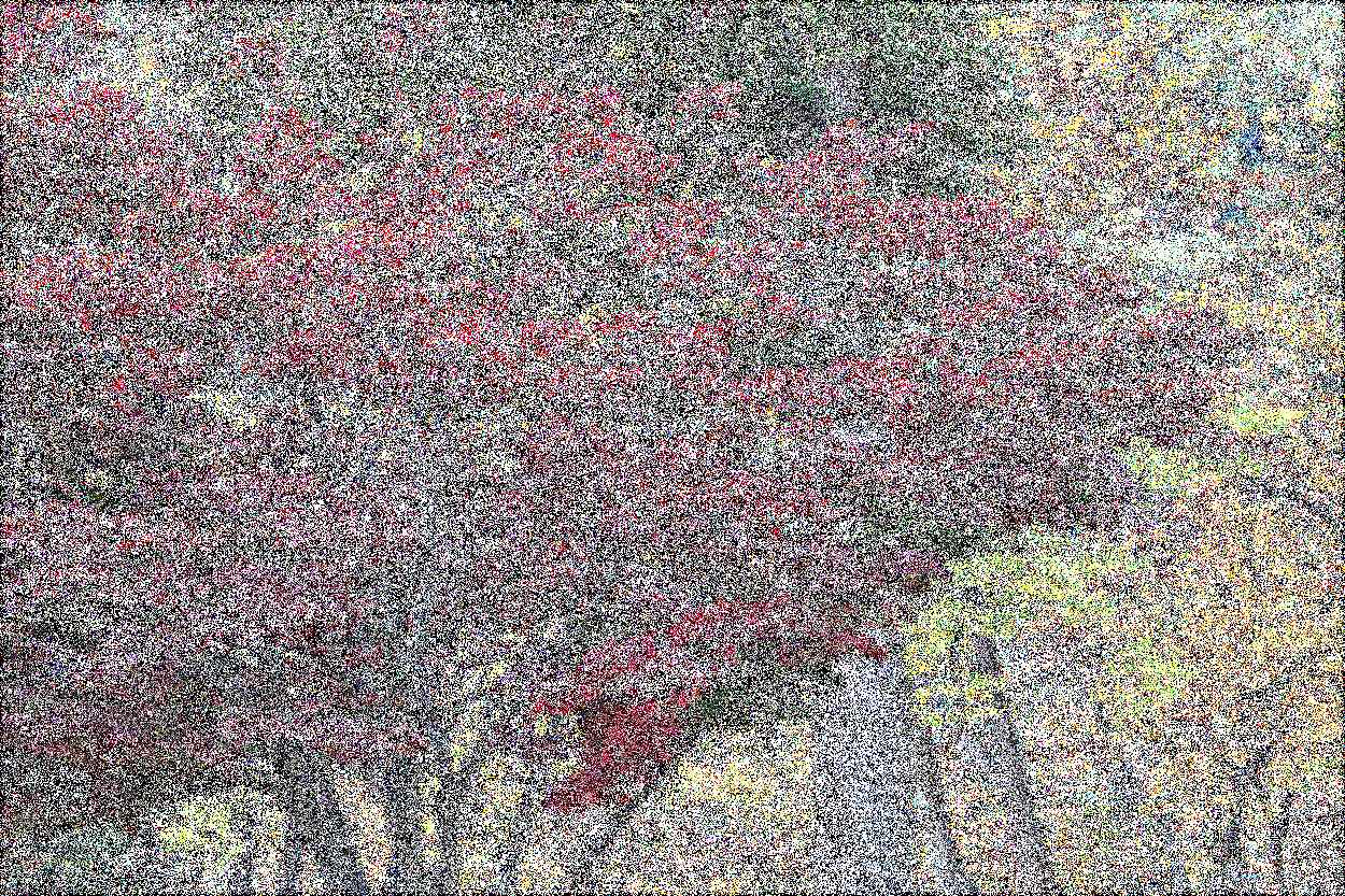 공주 태화산 마곡사