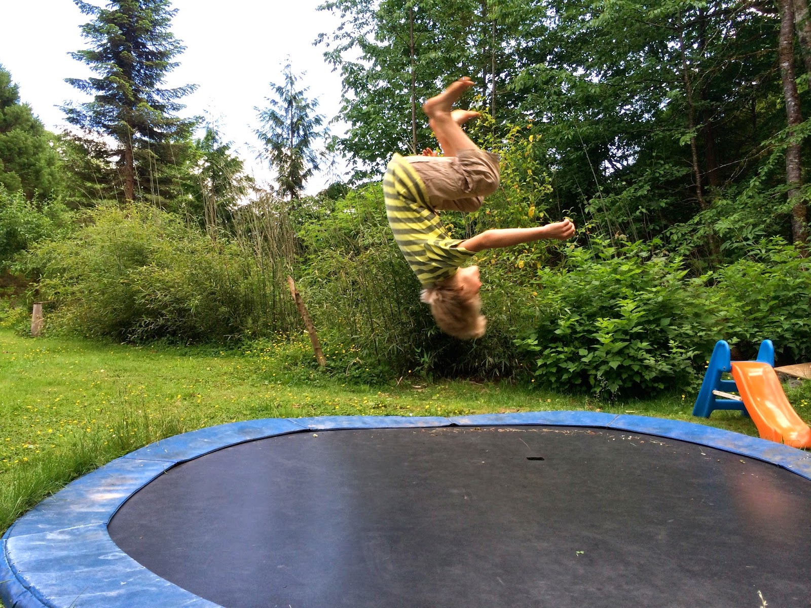 Marblemount Homestead Around the homestead