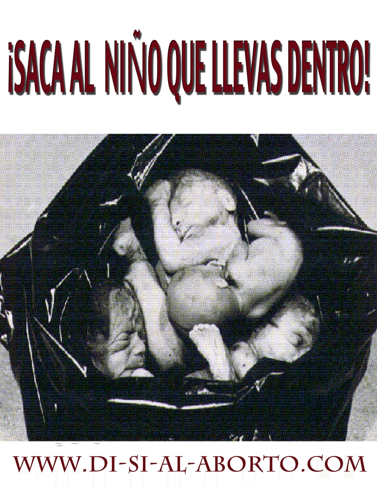 Maria Frnanda Aborto