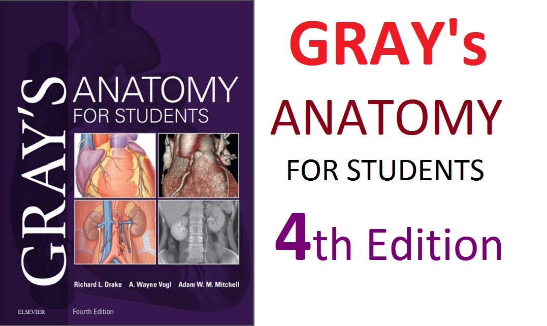 GRAY'S ANATOMY FOR STUDENTS 4th Edition PDF Free Download