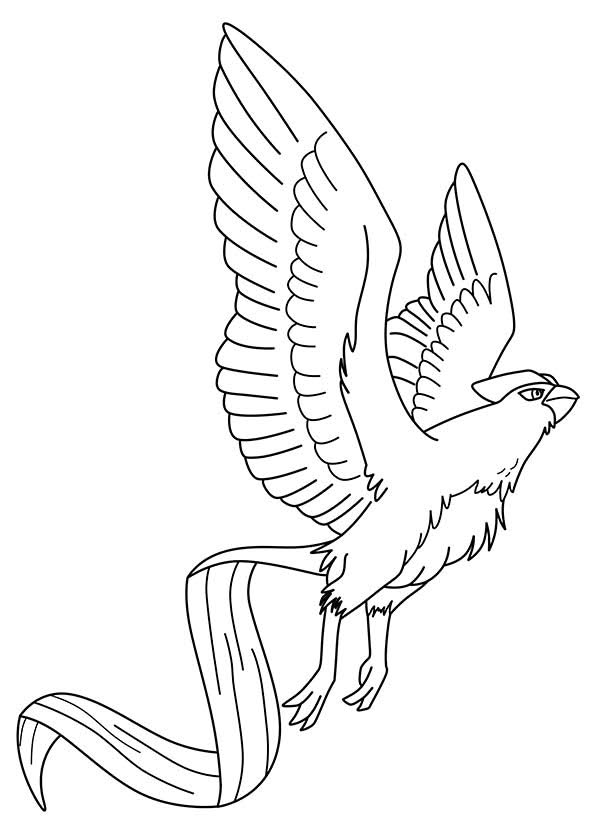 Pin on cartoon coloring pages Pokemon Articuno Coloring Pages Printable - Free Pokemon Coloring Pages