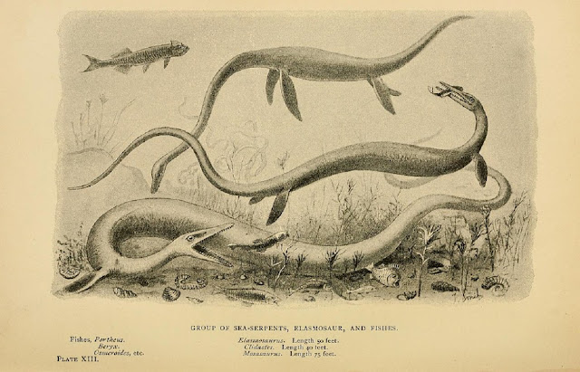Группа морских змеев, эласмозавров (Elasmosaurus), и рыбы