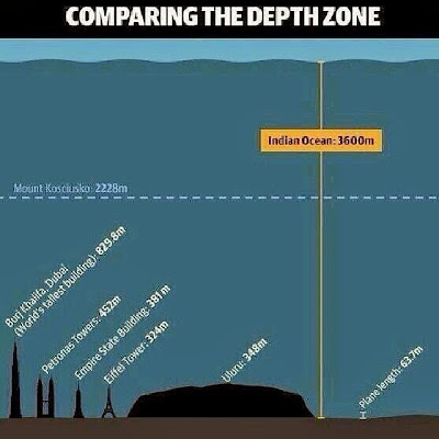  Comparing the depth zone 