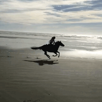 tumblr_05ac58c06b3caf7c2ce005fc37c6517e_05edd4a0_400.gif