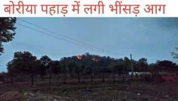 fire in forest of boria, mainpur forest vibhag,mainpur forest services,forest fire in India 2020, fire in forest of boria, mainpur forest vibhag,mainpur forest services,forest fire in India 2020,