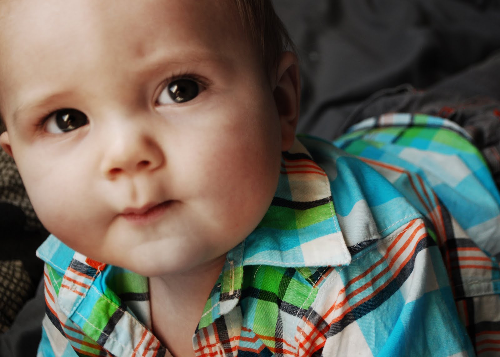 The Stebbins Family Shadoe & Vanessa Our Eight Month Old Big Baby Boy!