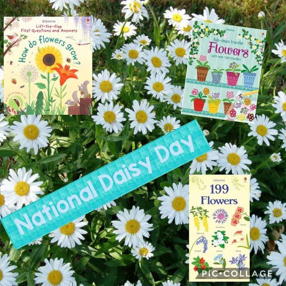 National Daisy Day Wishes Photos