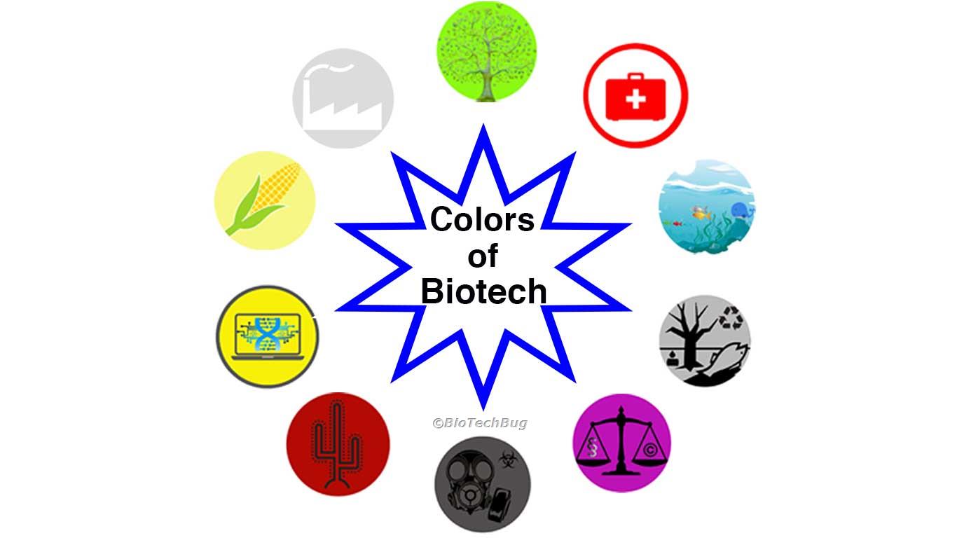 Colourful Types of Biotechnology