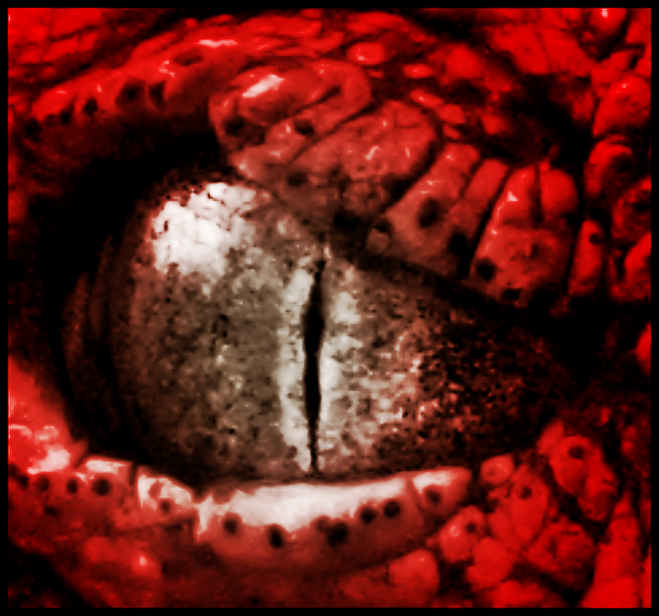 See the source image