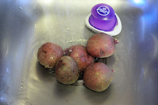 The whole potatoes, in the sink, being scrubbed.  